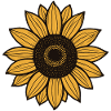 Tournesol