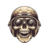 Skull Wearing Helmet and Sunglasses