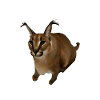 Big Floppa Karakal Cat Meme