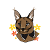 Powered by Big Floppa Caracal