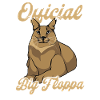 My official Big Floppa shirt