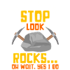 Rock Hunting Mineral Hunter