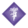 Climber