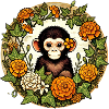 Chimpanzé