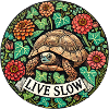Lebende langsame Schildkröte