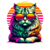 Retro Sunset Sunglasses American Curl