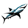 Shark in motion