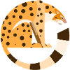 Léopard