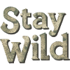 STAY WILD