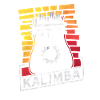 Idiophon Kalimba Geschenk