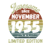 Awesome since November 1955 - Birthday