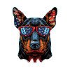 Doberman Pinscher with American Sunglasses