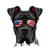 Great Dane with American Sunglasses