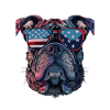 Bulldog with American Sunglasses