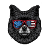 Pomeranian with American Sunglasses
