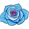 Rose Bleue