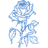Blue Rose