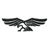 Eagle embroidered