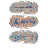 Source