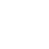 Hummingbird and Flower