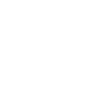 Flowers Blossom Plant Pattern Shape