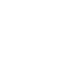 flowers blossom plant
