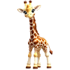 Tiny Giraffe/ Baby Giraffe