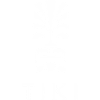 Tiki Design Tête Polynésienne Vivid