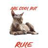 Peterbald