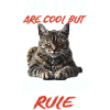 Bob Pixie