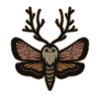 Moth
