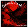 The Hawk Tuah Eagle