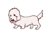 Kawaii Dandie Dinmont Terrier