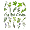 My Herb Garden - Herbs