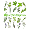 My Herb Garden - Herbs