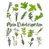 My Herb Garden - Herbs