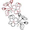 Blüten, Fleurs