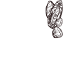 Rock Hunting Mineral Hunter