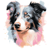 Chien Border Collie