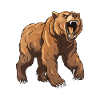 Bear Animal