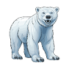 Eisbär Tier Polar bär