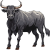 Bulle Tier Taurus