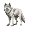 Wolf Animal