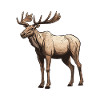 Moose Animal