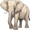 Elephant Animal