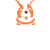 Corgi