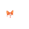Corgi