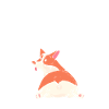 Corgi
