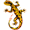 Salamander Molch Schwanzlurch Feuersalamander