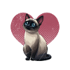 Siamkatzen STOLZE SIAMKATZENMUTTER Siam